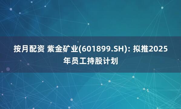 按月配资 紫金矿业(601899.SH): 拟推2025年员工持股计划
