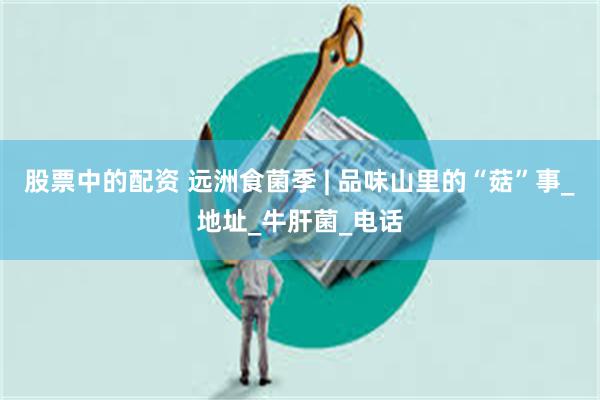 股票中的配资 远洲食菌季 | 品味山里的“菇”事_地址_牛肝菌_电话